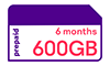 prepaid 300GB